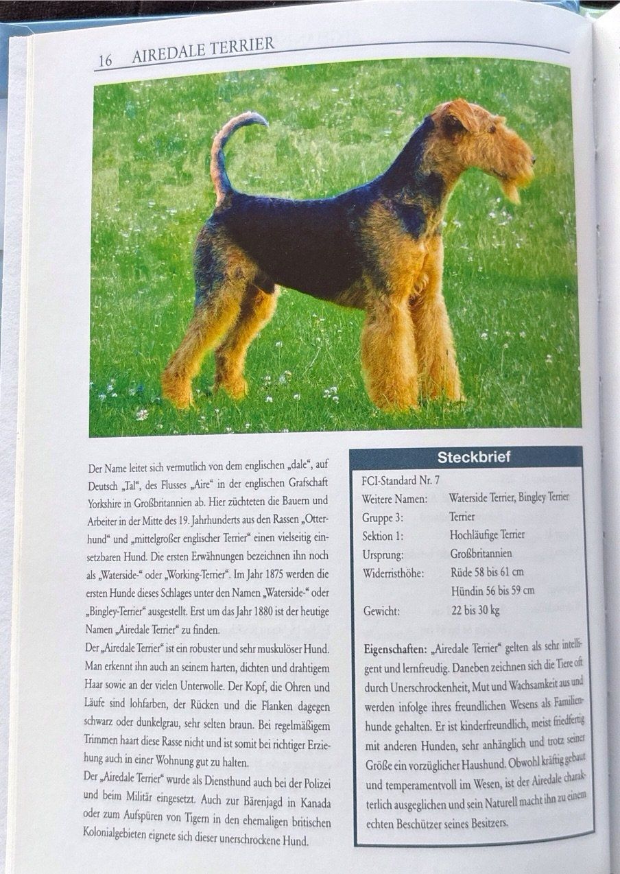 Bücher: Hunde (Garant Verlag) – Neu (gemäss Beschreibung) aus Sarnen von Livres 6