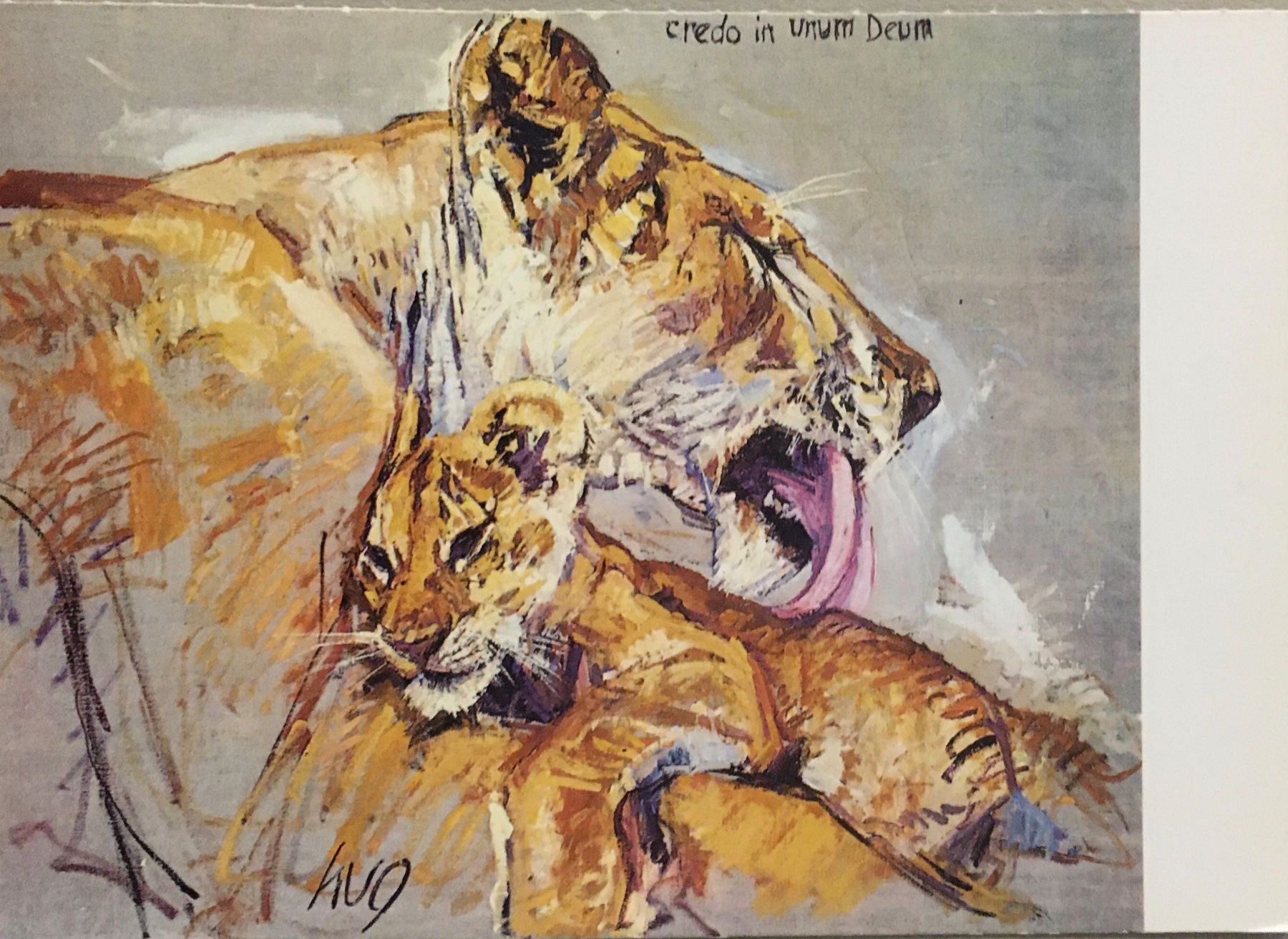 Cartes postales: Fritz Hug, Löwen – D'occasion à Frauenfeld par Merk52