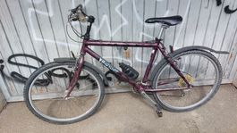 Älteres Bike (S-Rahmen)