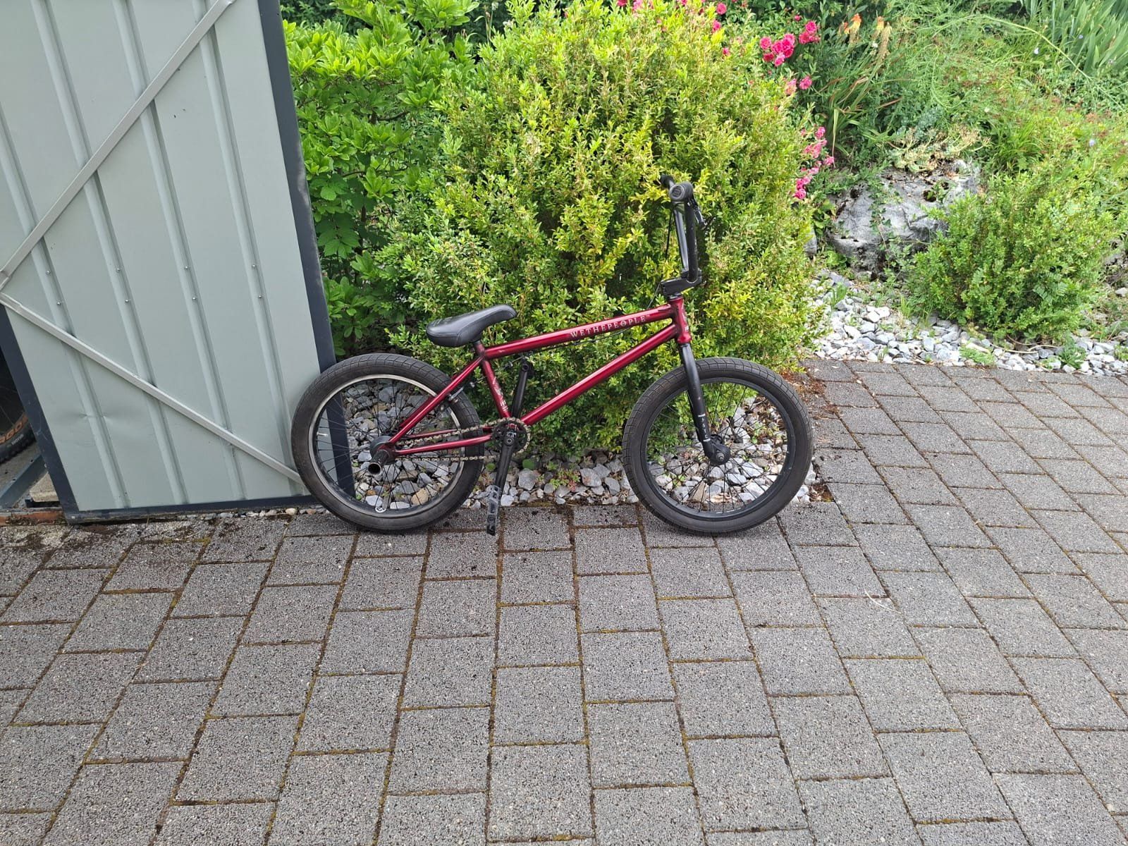 Biciclette: BMX Wethepeople – Usato da Hinwil venduto da ibo_gf9s 3