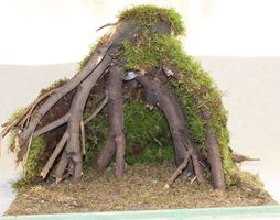 Wurzelkrippe