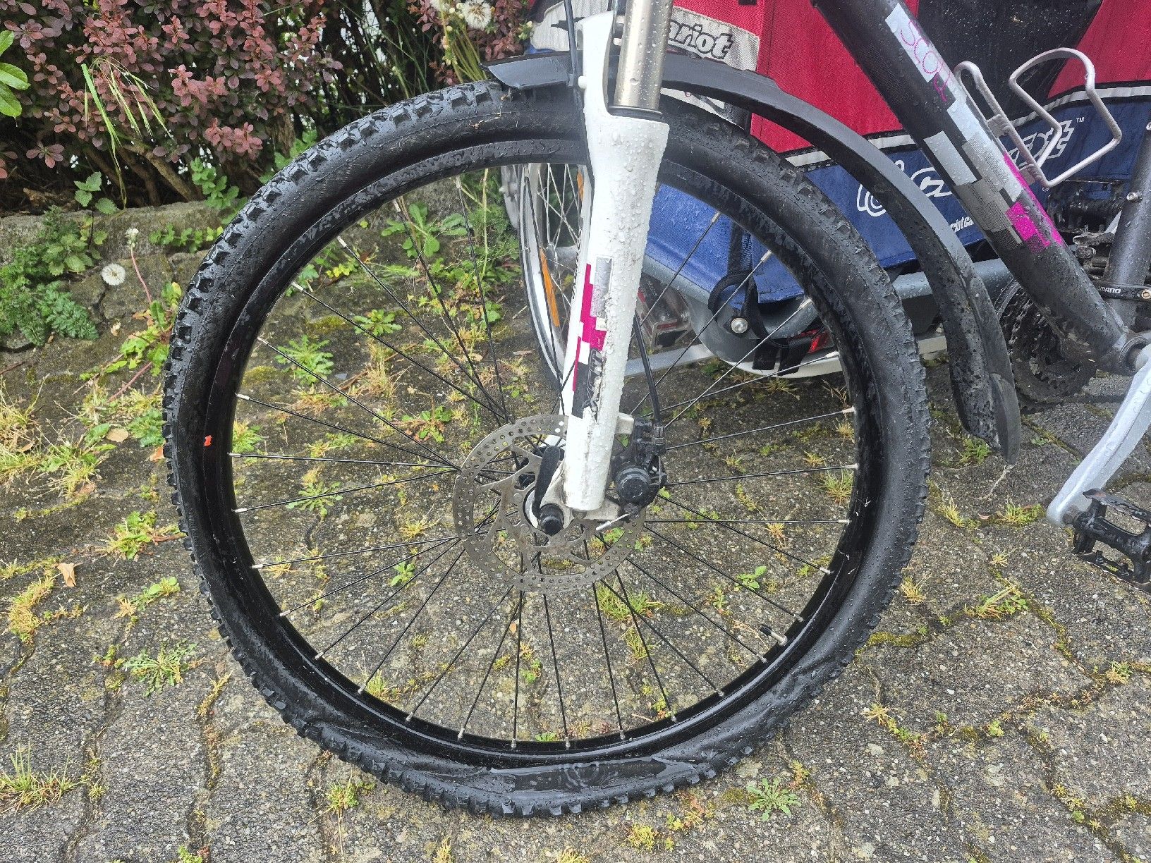 Scott Biciclette: Fahrrad Scott 26' – Usato da Schmitten FR venduto da Sam2525 6