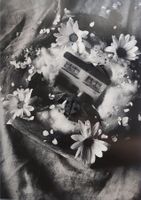 PHOTOGRAPHIE - ABSTRAKTION - FLOR GARDUNO