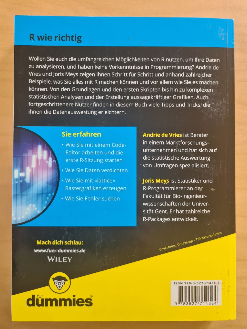 Libri: R für Dummies – Usato da Oberwil BL venduto da Spieltopia 1