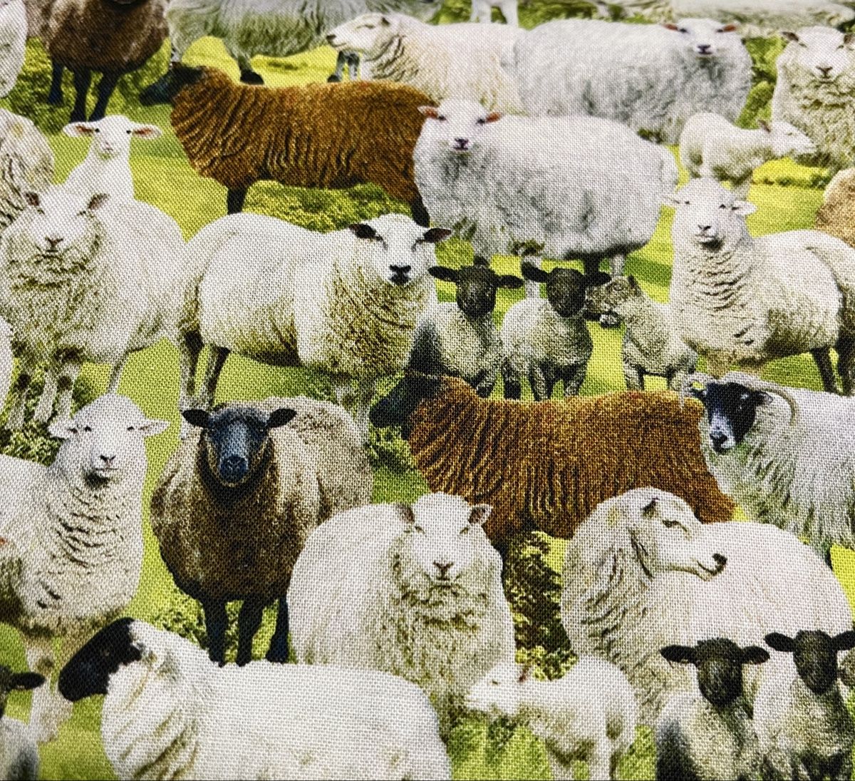 Stoffe: Patchworkstoff  Schafe – Neu (gemäss Beschreibung) aus Seuzach von KreativmitStoff 2