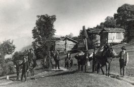 Augstbord - Region  VS  nahe Eischoll / Maultier - Transport