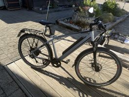 Allegro E-Bike Champion Ltd. Edition newertig mit nur 573 km