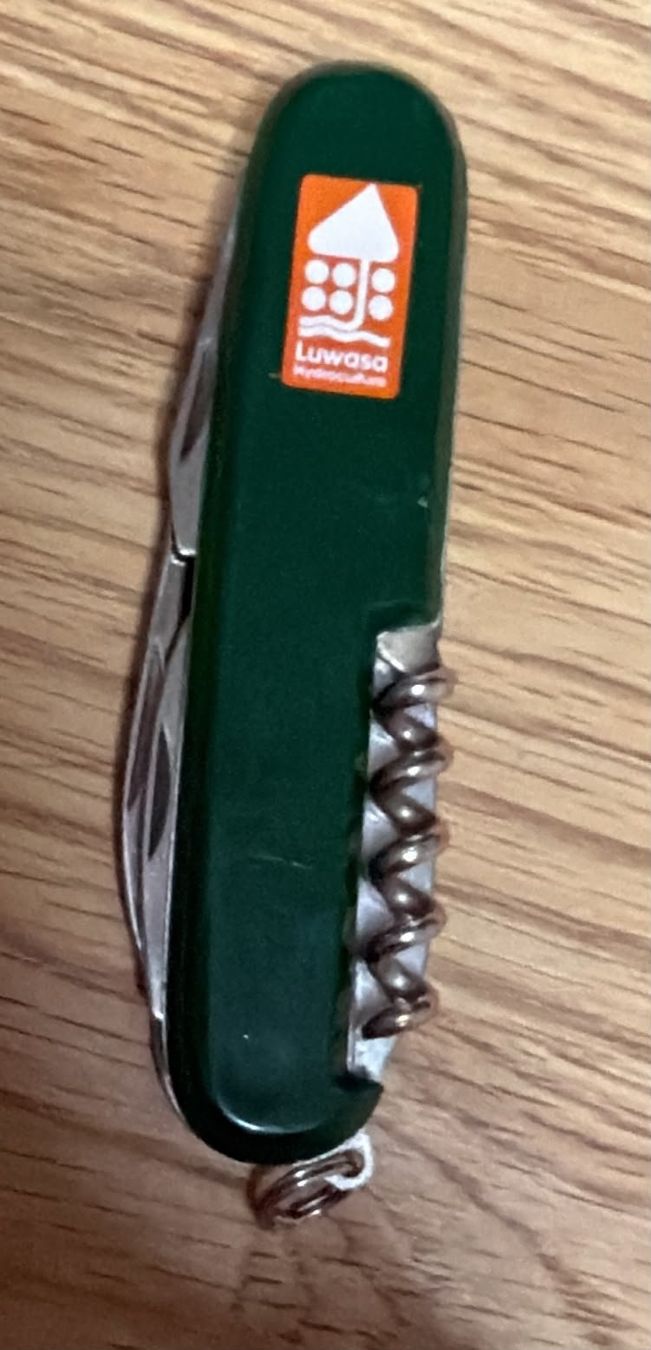 Solingen Coltelli tascabile: INOX SOLINGEN SACKMESSER LUWASA – Usato da Zürich venduto da Frei-Occasionen 3