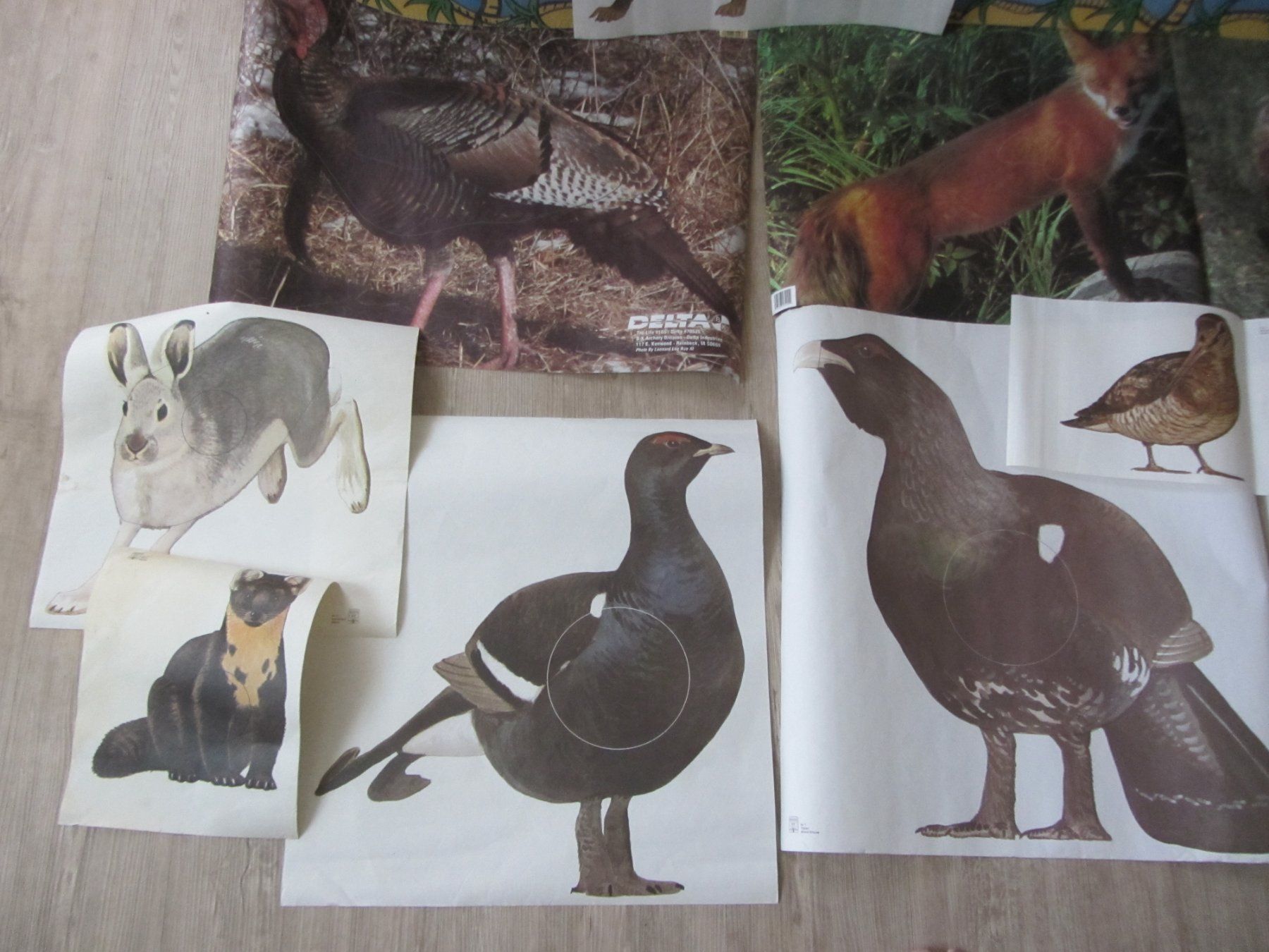Bogenschiessen: Scheiben Auflagen Bogenschiessen Scheibenbild Diverse Tiere – Gebraucht aus Malters von moc_z8d9 3