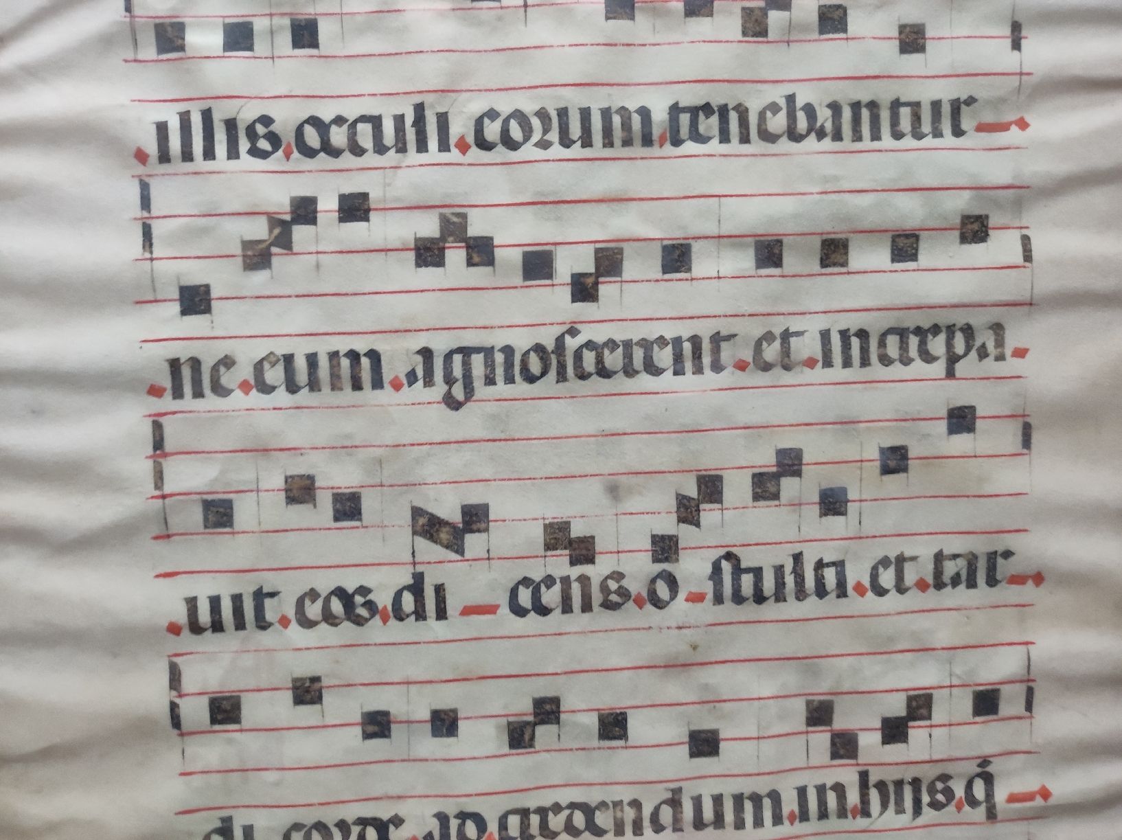 Poster & Bilder: MANUSKRIPTE - ANTIPHONARIUM – Gebraucht aus Goldach von Gaip 8
