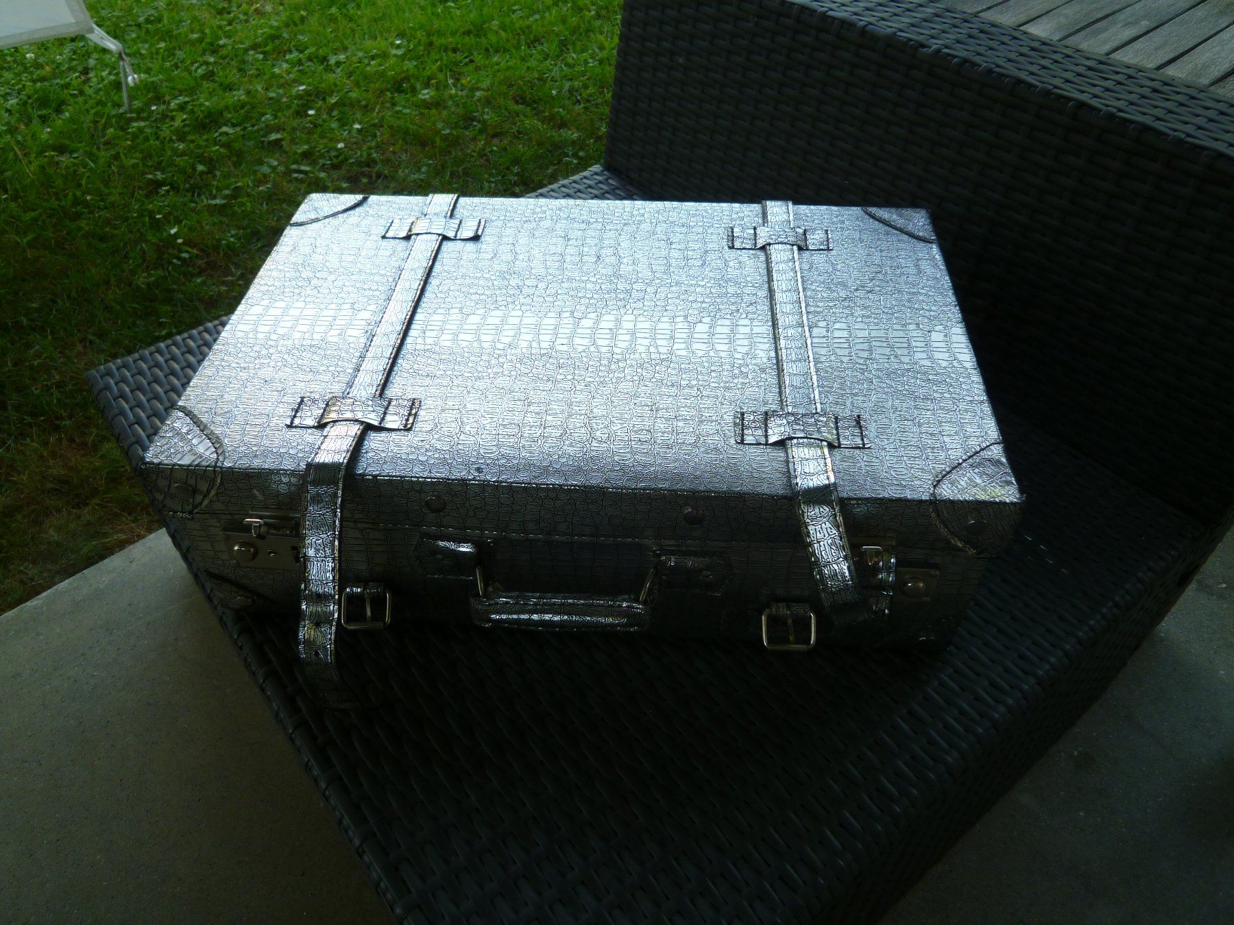 Valises de voyage: silbriger Koffer   speziell – D'occasion à Dättlikon par Mamakuga 1