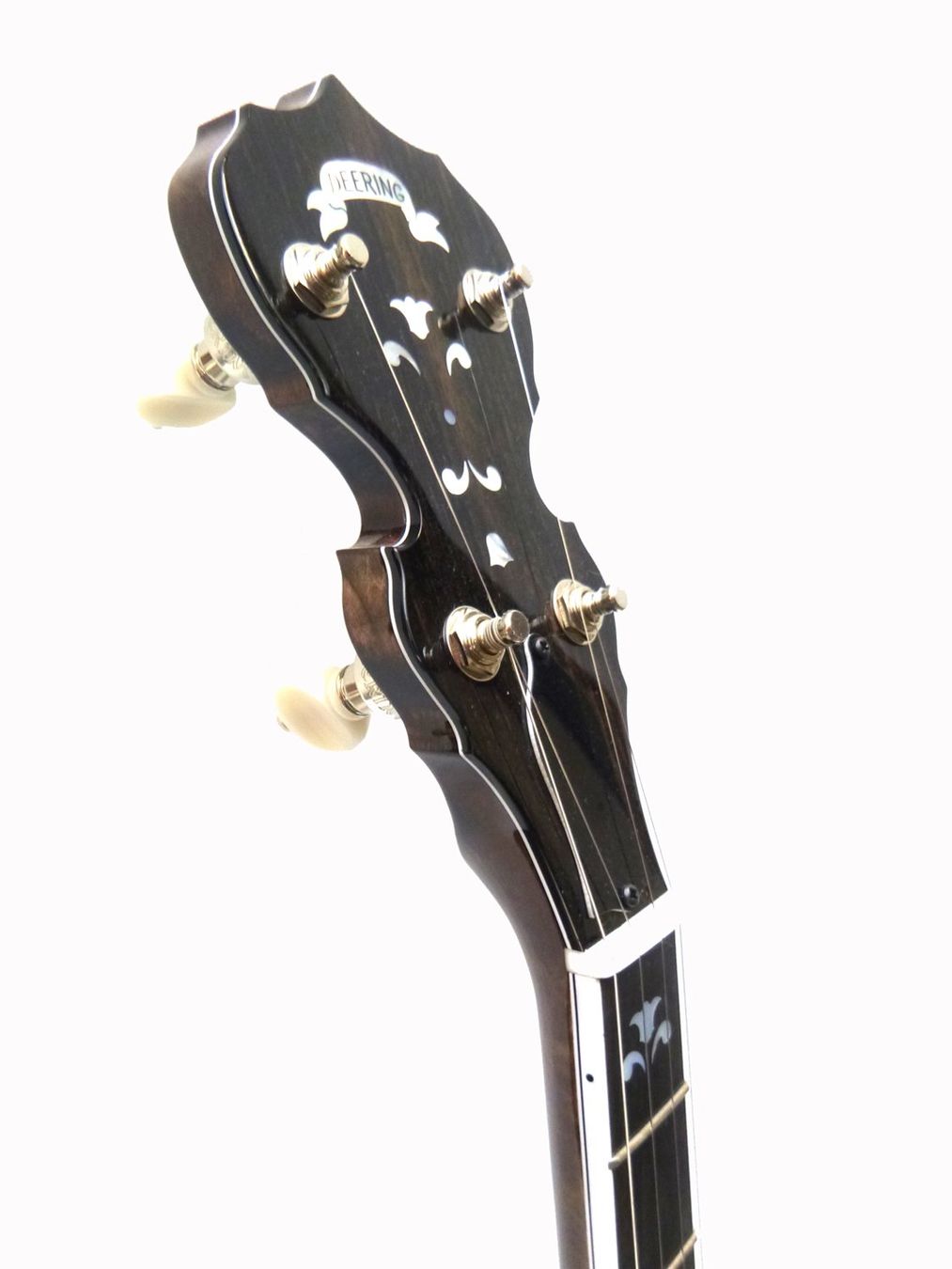 Strumenti musicali: DEERING Maple Blossom – Nuovo e nell'imballaggio originale da Schaffhausen venduto da Saitensprung_SH 4