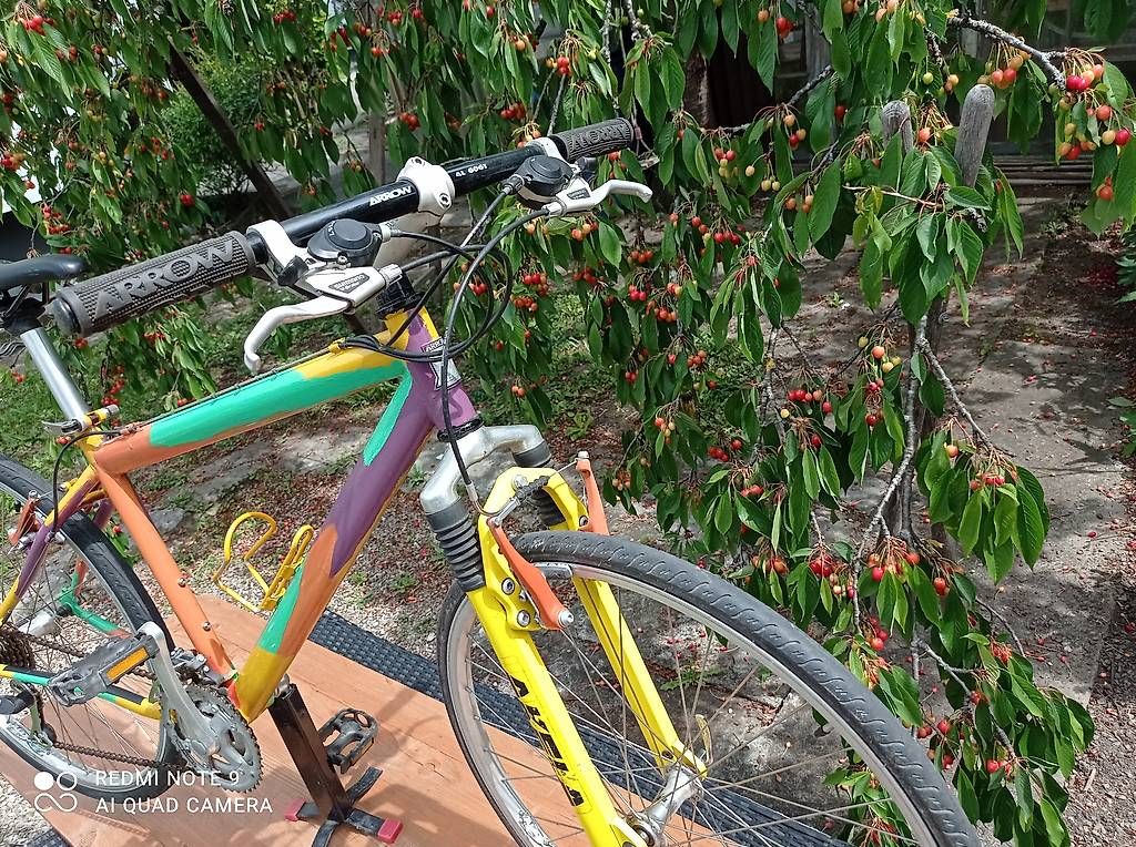 Biciclette: Art MTB Andy Warhol Style – Usato da Biel/Bienne venduto da Rouf7 3