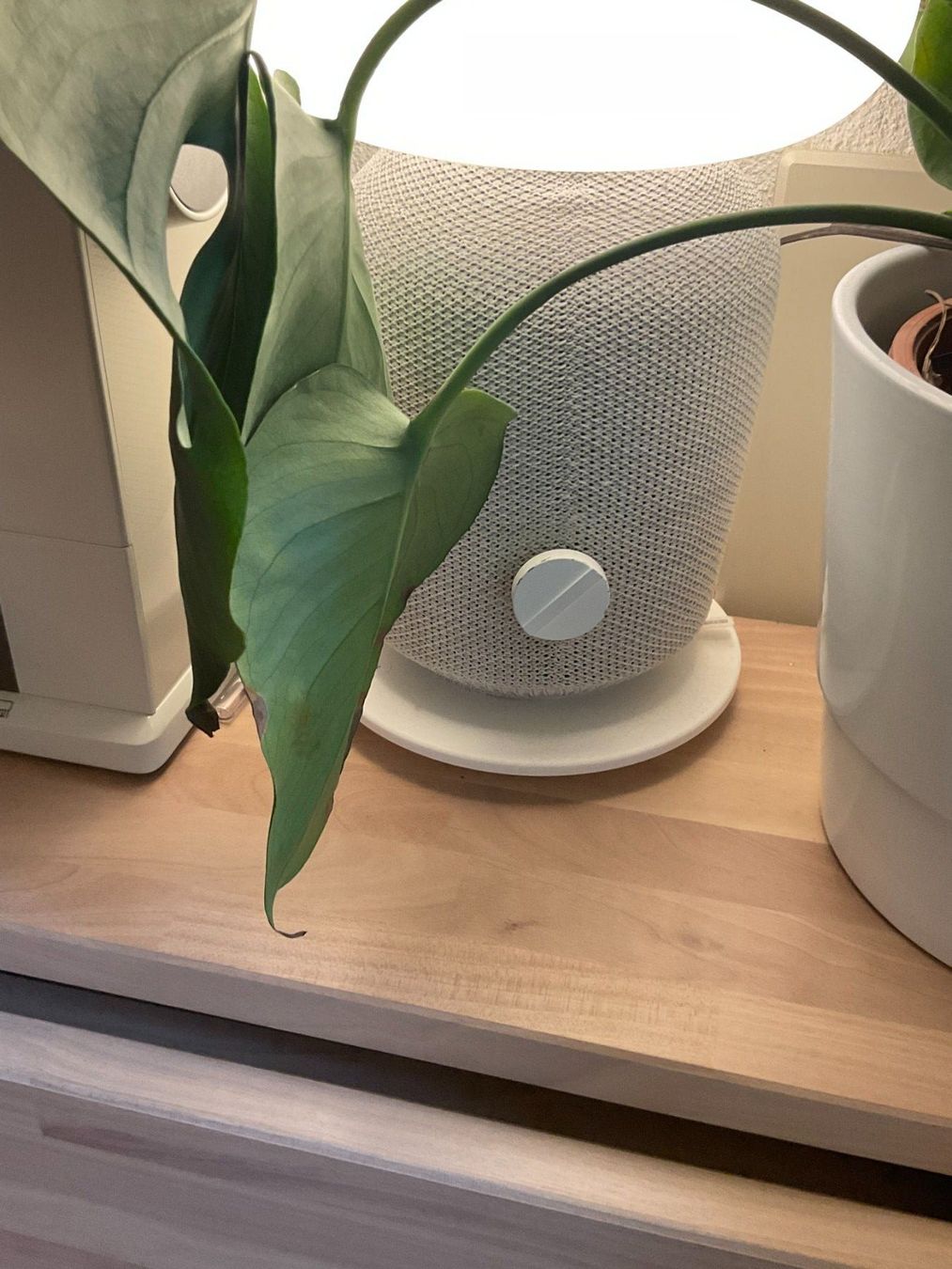 Ikea Lampade: Ikea Symfonisk Lautsprecher-Lampe (Sonos) – Usato da Zürich venduto da hfu_5kym 1