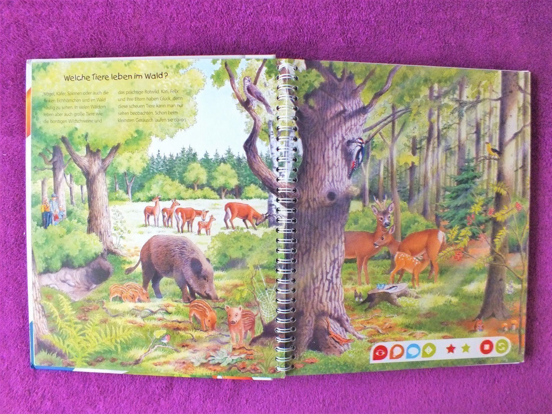 Libri: tiptoi Buch - Komm mit in den Wald – Usato da Müllheim Dorf venduto da Seeeule01 2