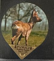 49 - Einheimische Wildtiere