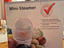 Mini Steamer