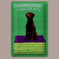 🔥 LABRADOR CHOCOLATE Hunde Blechschild 💚 12x18cm OVP 🔥