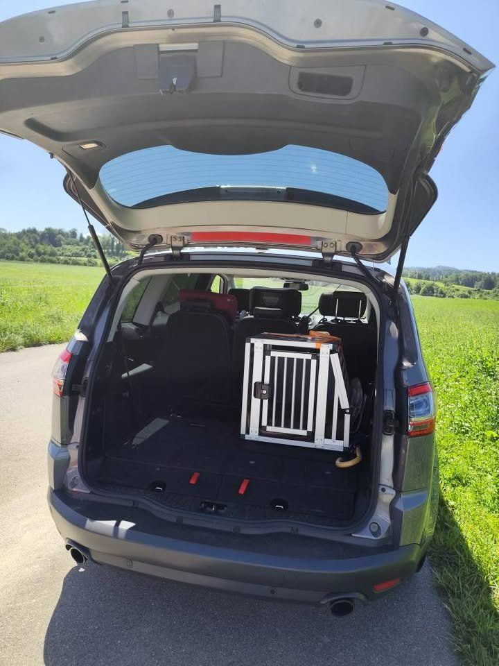 Ford Automobili: Ford S Max 2,0ccm Automat – Usato da Niederuzwil venduto da solidchueli1991 2