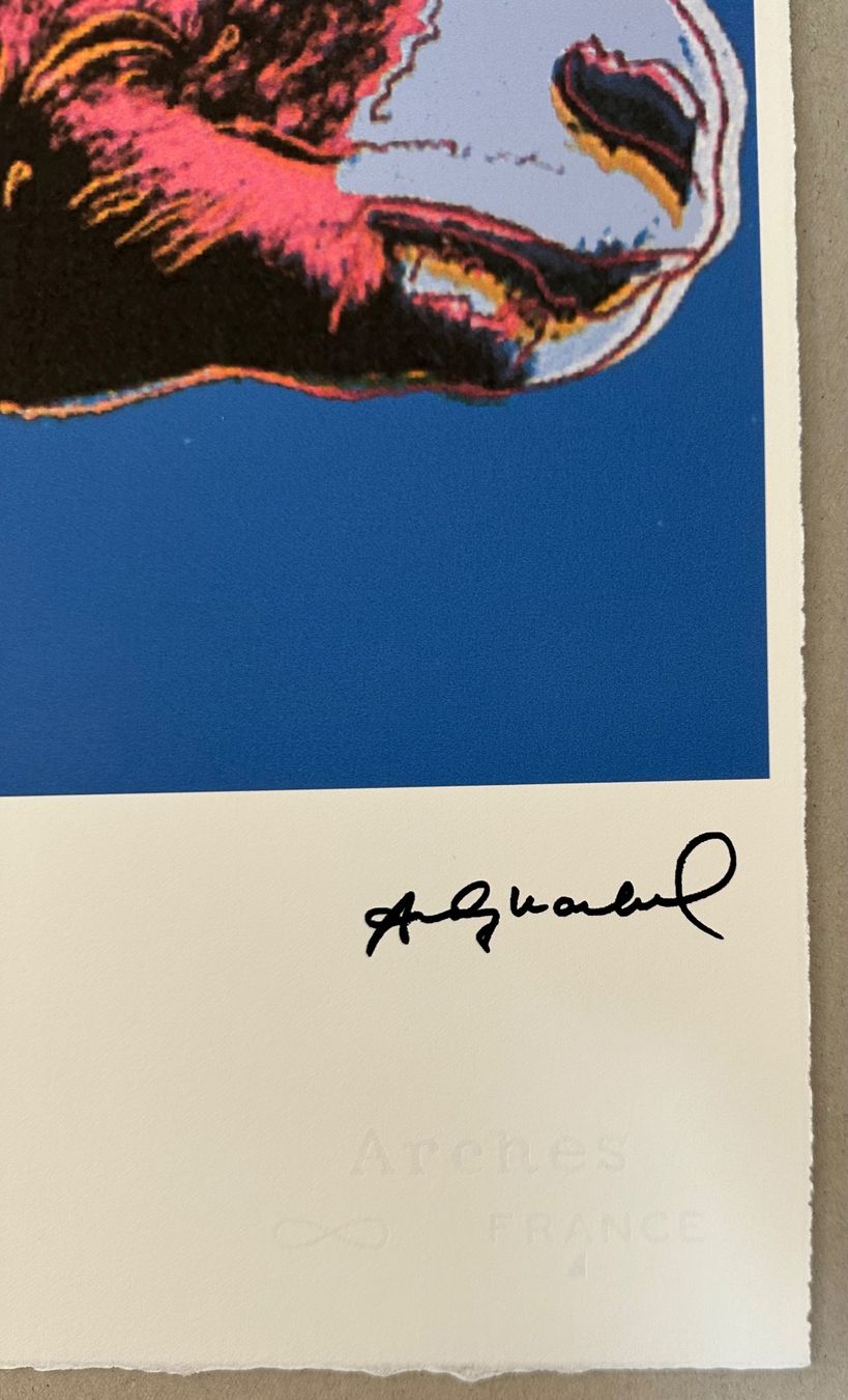 Foto & Immagini: Andy Warhol: Big Horn, POP Art 49/100 – Nuovo (secondo la descrizione) da Meilen venduto da Smgdesign 2