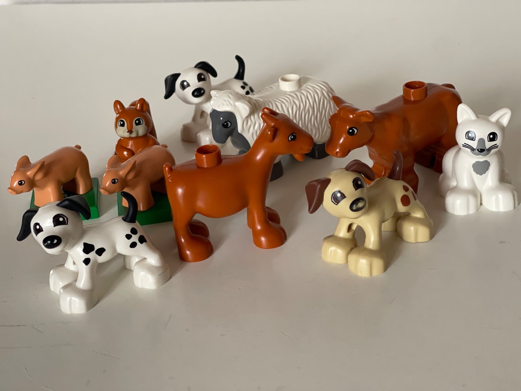 Lego Giocattoli: LEGO DUPLO 10 Diverse Tiere – Usato da Gelterkinden venduto da cobra0110