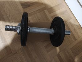 Bodyshape Kurzhantel (Gusseisen) / Dumbbell (Cast Iron)