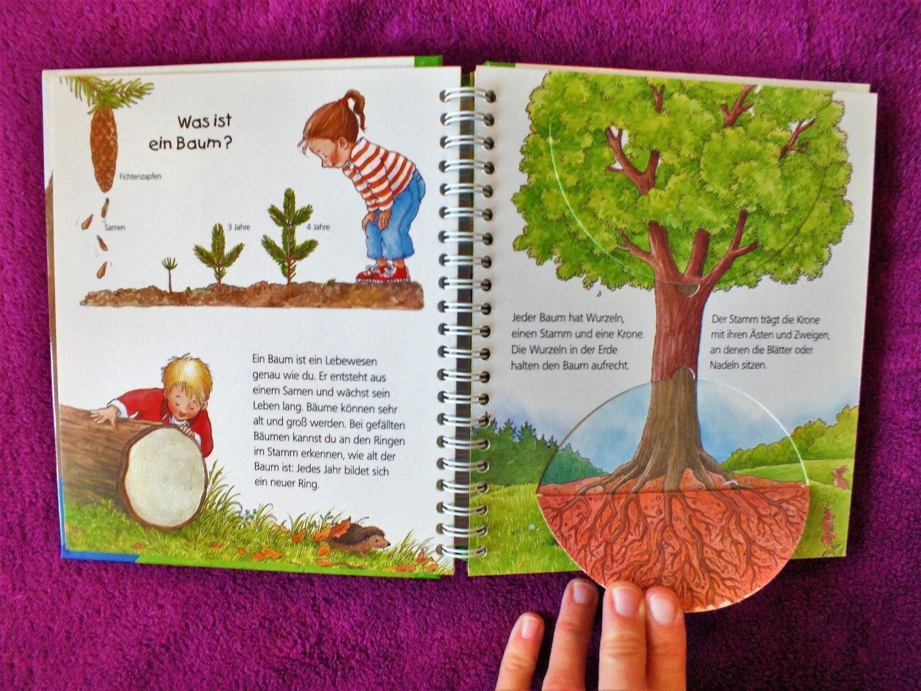 Libri: Wieso Weshalb Warum Junior Buch - Der Wald – Usato da Müllheim Dorf venduto da Seeeule01 2
