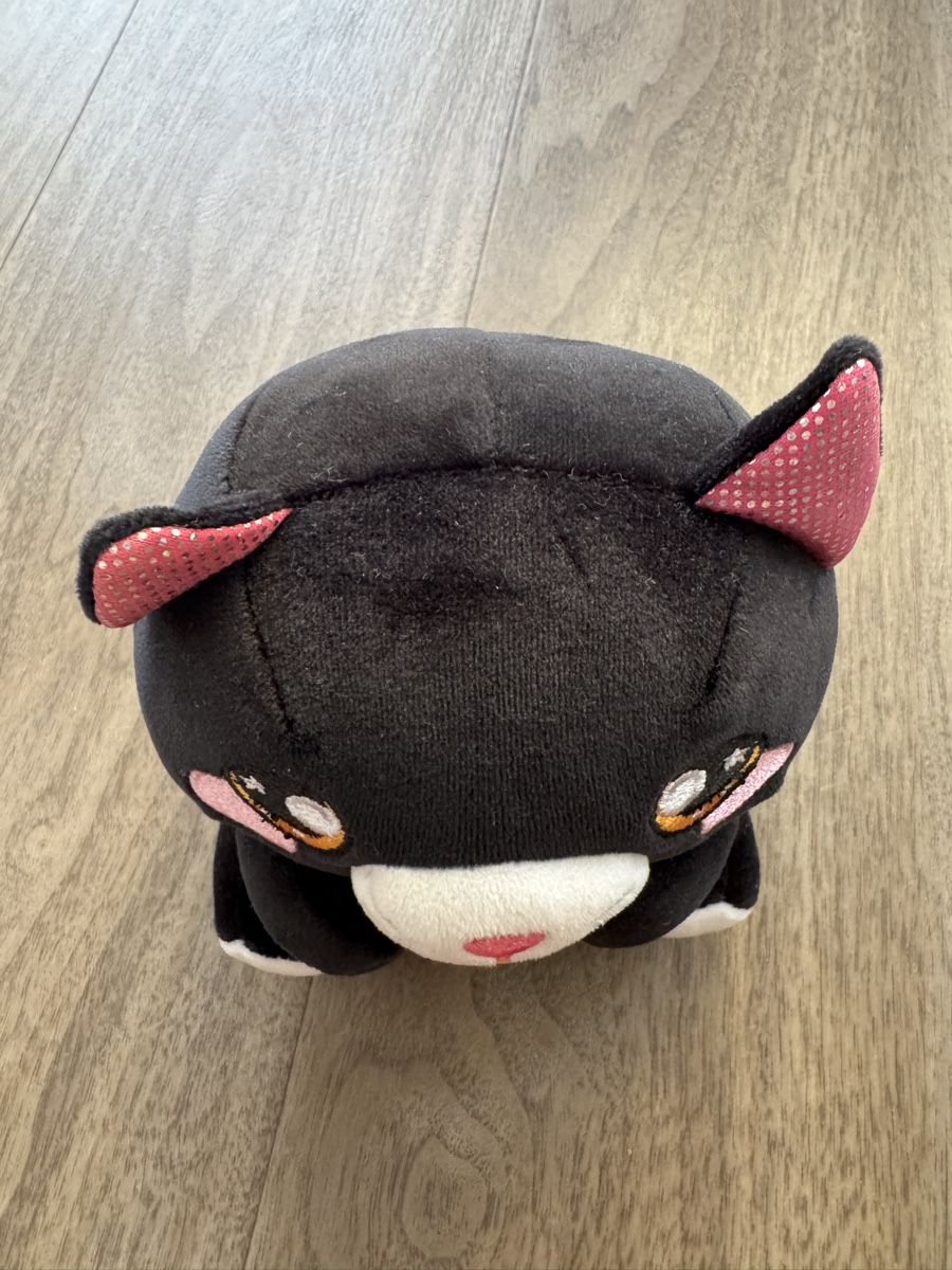 Giocattoli: BLACK HALLOWEEN CAT PLUSH ✨ – Usato da Dietikon venduto da athiinax 1
