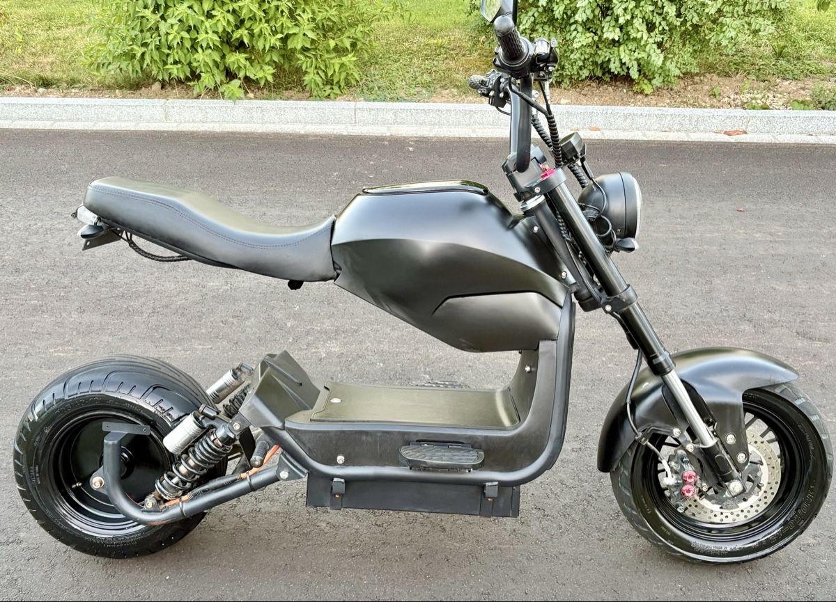 Züriflizzer Scooters: City Max RS Pro – D'occasion à Rudolfstetten par Hansbrunnen 2