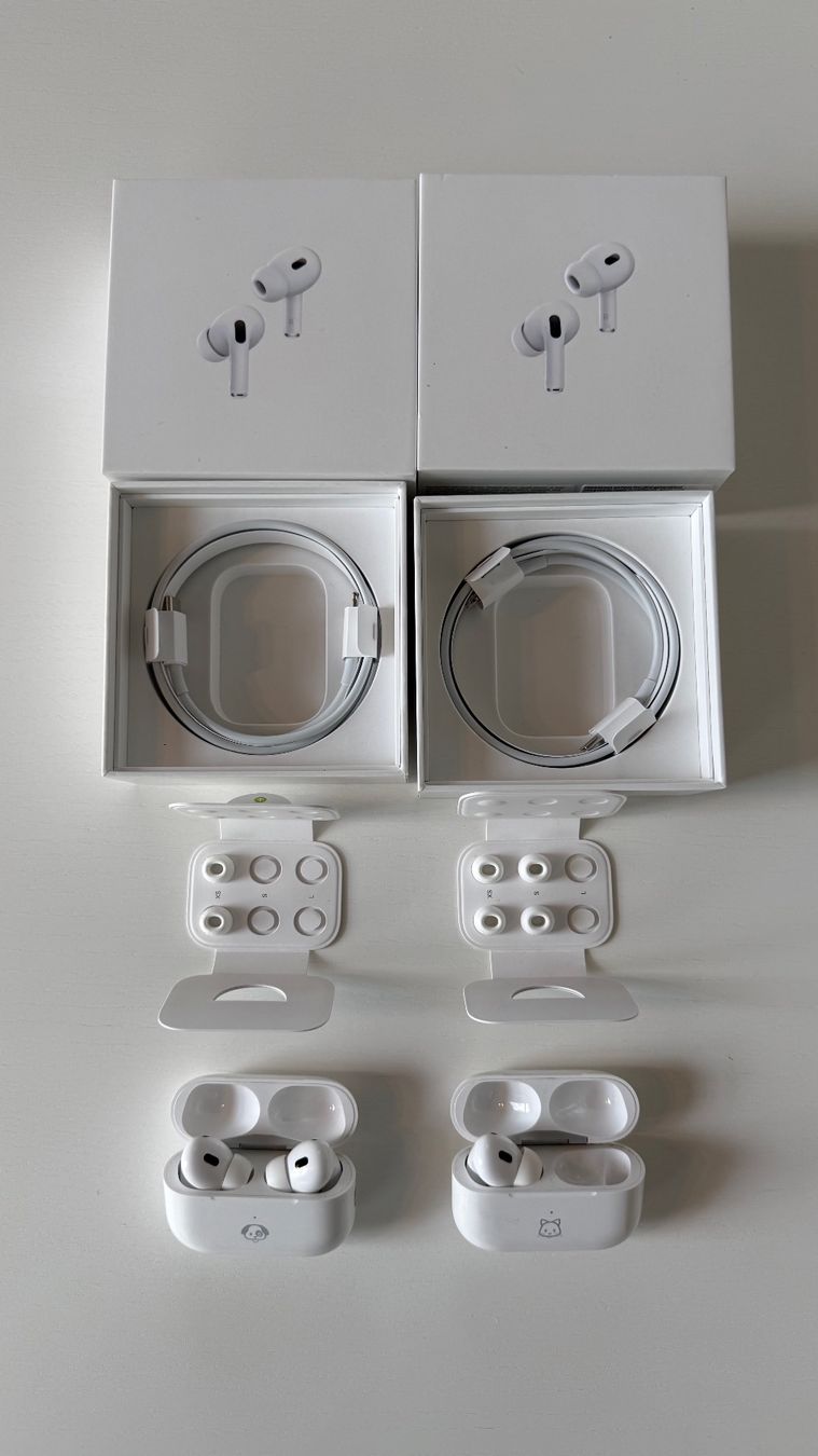 Apple Kopfhörer: Apple AirPods Pro 2 + Ersatzcase & linker Hörer – Gebraucht aus Zürich von ale_5ckb