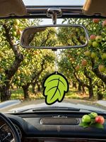Duftbaum Wunderbaum Herbstblatt Duftnote Apfel