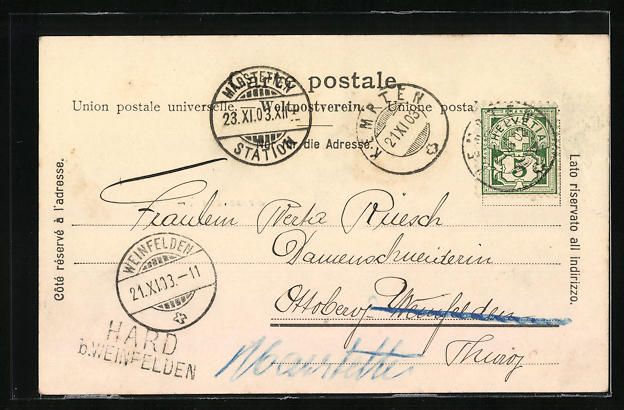 Cartoline postali: AK Winterthur, Ansichten des Walkeweiher – Usato da Berlin venduto da bartko-reher 1
