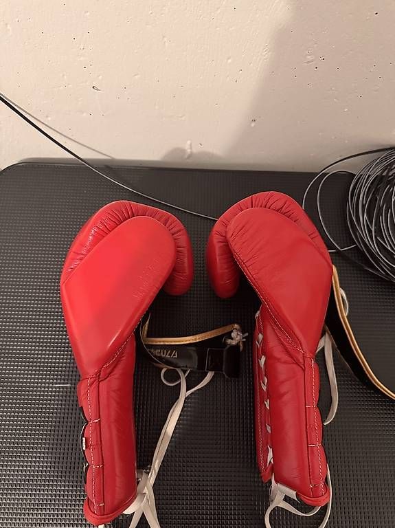 Sacchi da boxe: Cleto Reyes Sparring Boxing Gloves – Usato da Villmergen venduto da noa_22ty 1