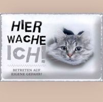 🔥 HIER WACHE ICH Katzen Blechschild 🎀 12x18cm OVP 🔥