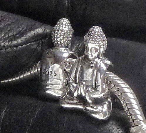 Ciondoli: Charms kompatibel mit Pan-do-ra – Nuovo e nell'imballaggio originale da Lamboing venduto da Qtrica 1