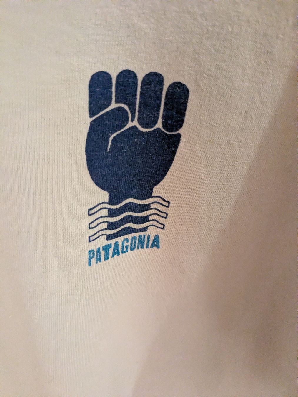 Patagonia T-Shirts: Patagonia T-shirt  – Gebraucht aus Lenzerheide/Lai von dgi_wj6p 1
