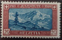 J51.1.01 Blauer punkt links der Tanne
