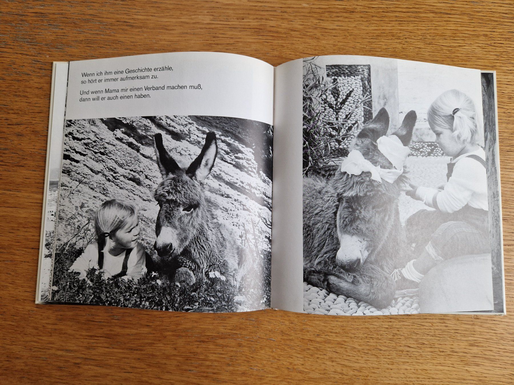 Livres: Mein Esel Benjamin – D'occasion à Balterswil par Little-nemo 3