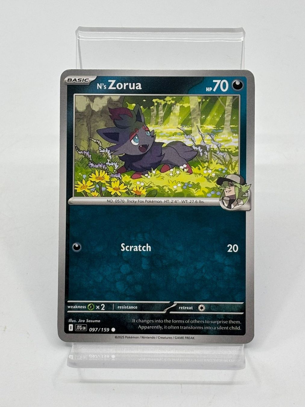 Pokémon Sammelbilder & Trading cards: Pokemon N'S Zorua 097/159 – Gebraucht aus Herisau von Pokemon2026
