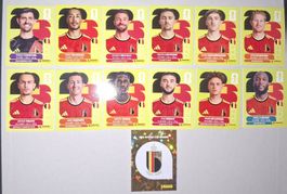 Panini Fifa World Cup 2026 - Belgium Team - 13 stickers