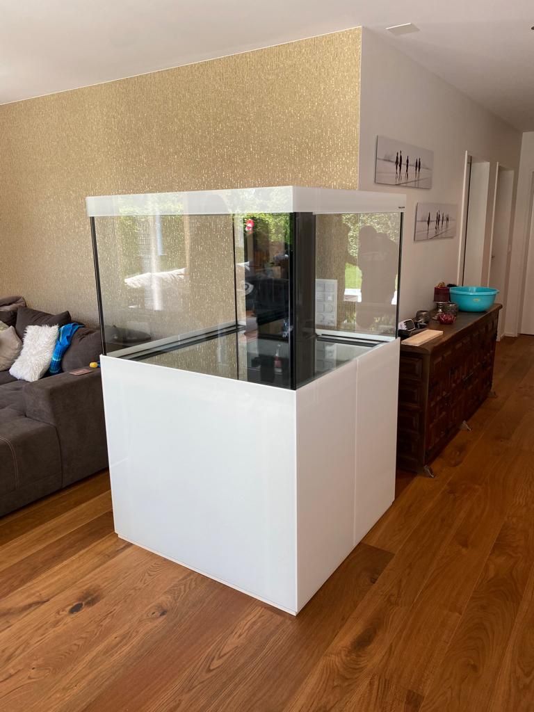 Acquari: Meerwasser Aquarium 100x100x70 – Nuovo (secondo la descrizione) da Berikon venduto da fischundart 1
