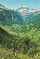 Weisstannen SG von der Alp Precht mit Foostock ca. 1970 sehr