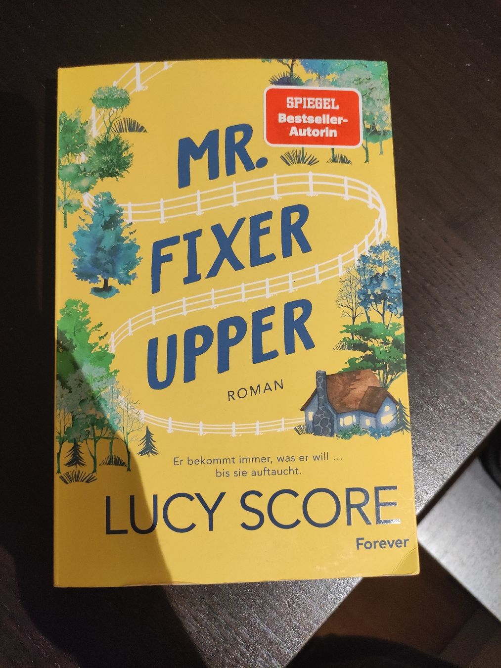 Libri: Mr. Fixer Upper - Lucy Score, Roman – Usato da Siebnen venduto da Valora23