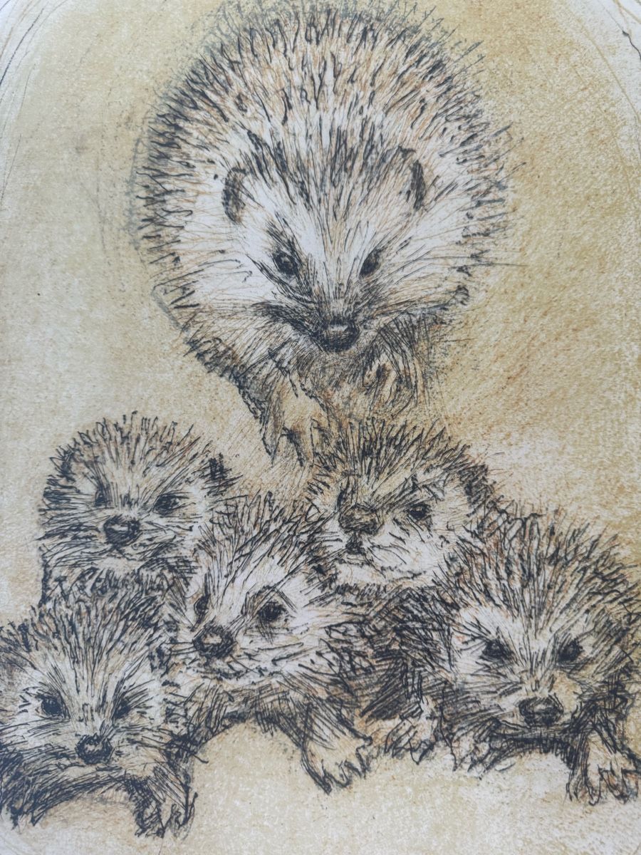 Grafica & Litografie: Fritz Hug Lithogaphie, Igelfamilie – Usato da Safenwil venduto da Corahund 2