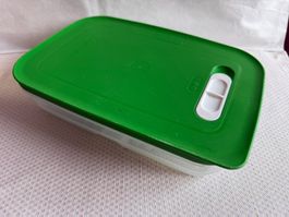 Tupperware - boîte - 1,8L - vert