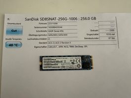 SanDisk 256GB  SSD