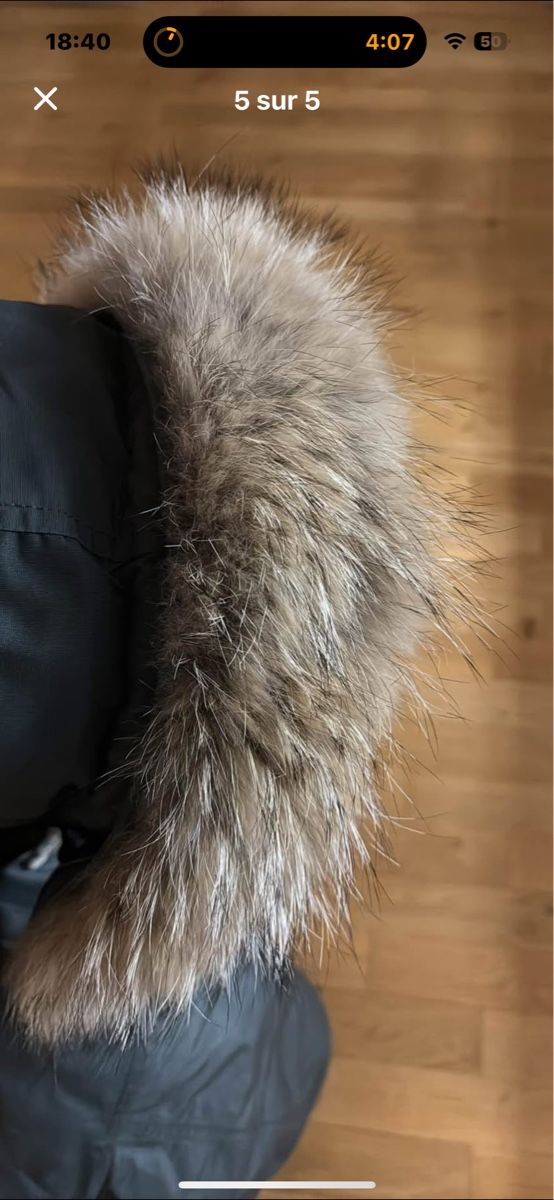 Woolrich Giacche: Woolrich parka olive – Usato da Muri b. Bern venduto da Saldayann 4