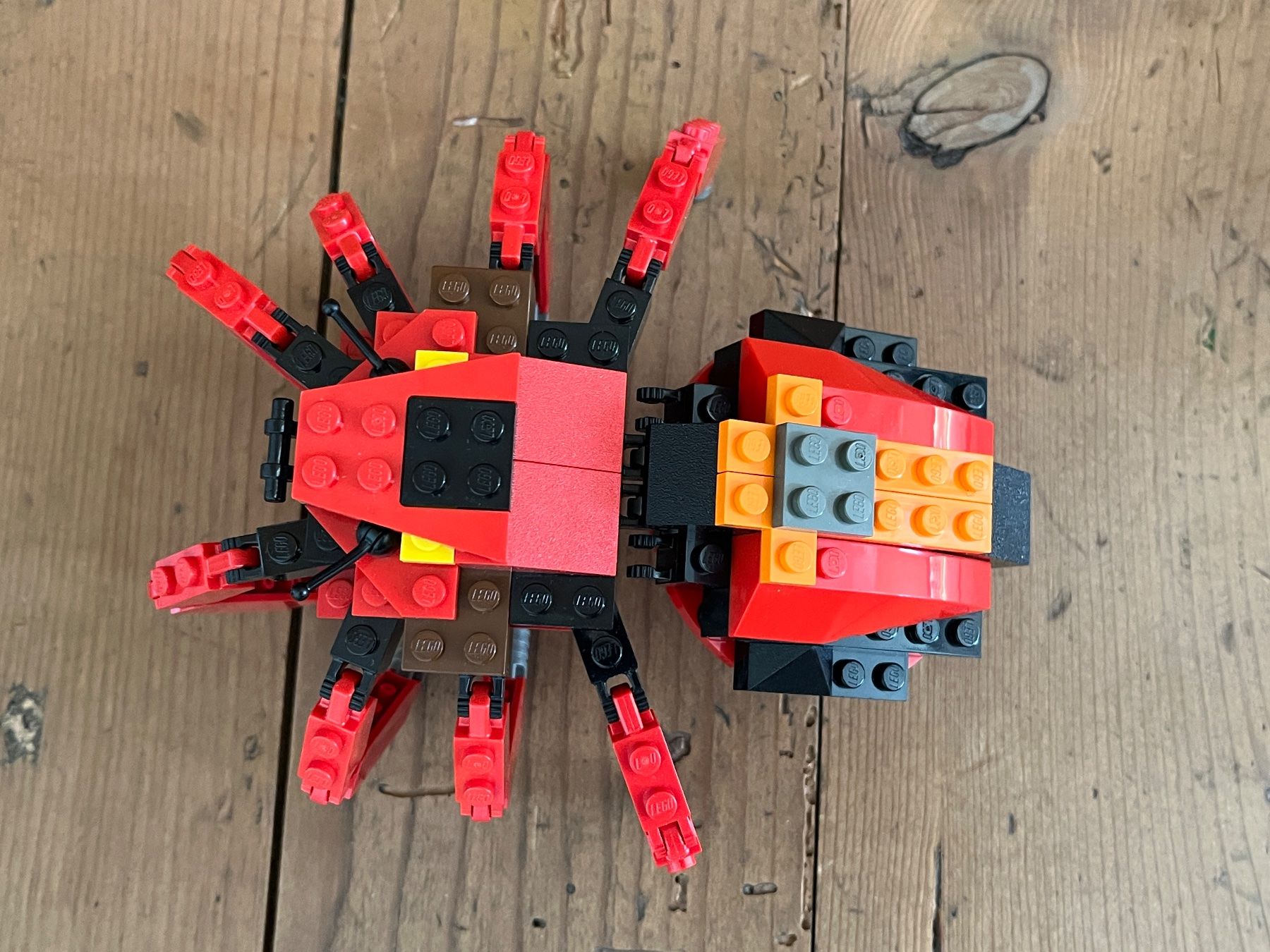Lego Giocattoli: LEGO-Buch 4101 mit Spinne, Stabheuschrecke, Vogel, Libelle – Usato da Winterthur venduto da Wusa01 1