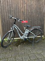 Flyer E-Bike Silber, Akku und Ladegerät