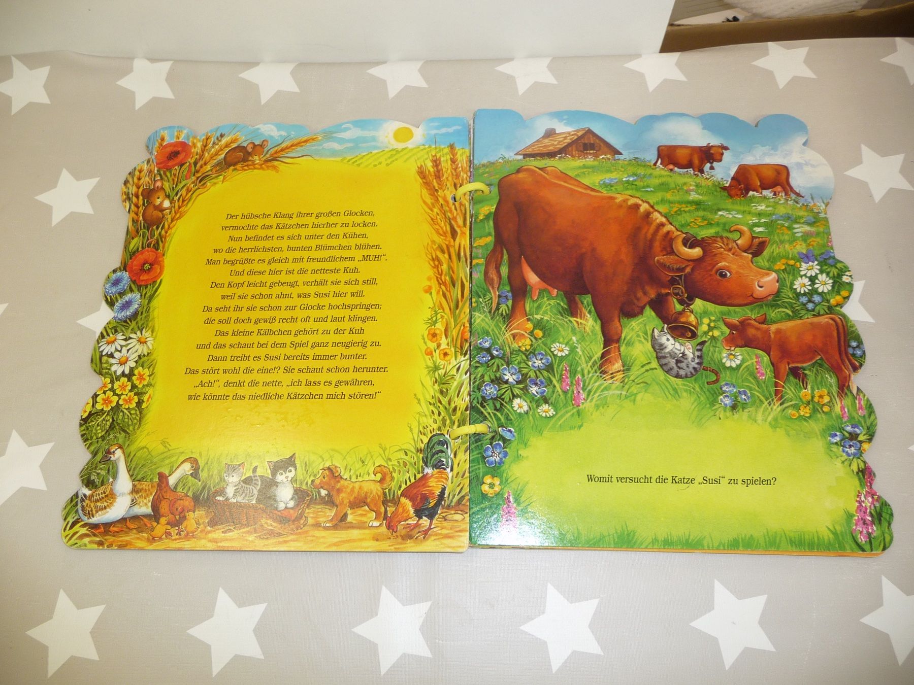 Libri: Buch: Mein liebstes Katzenbuch – Usato da Rafz venduto da Powacaddy 1